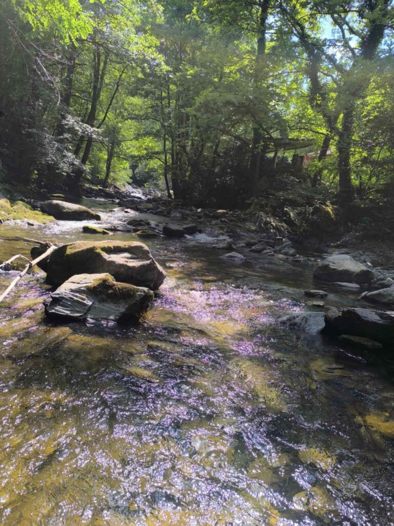 Φωτογραφία από τον Όλυμπο