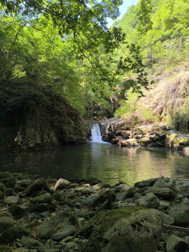 Φωτογραφία από Όρλια Ολύμπου