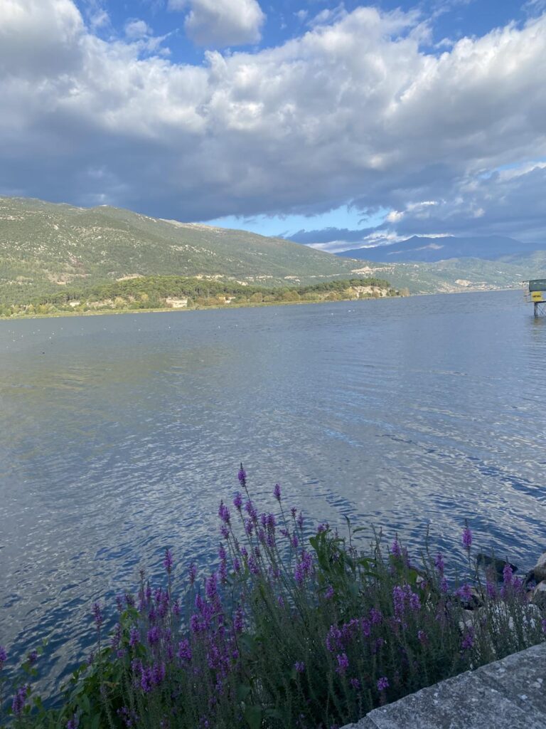 εικόνα Viber 2025 10 24 11 30 09 867