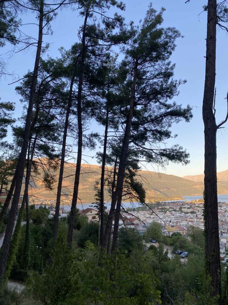 Φωτογραφία από το Φρόντζου Ιωαννίνων