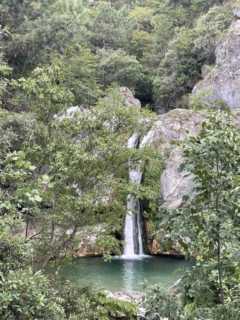 όρλια Όλυμπος