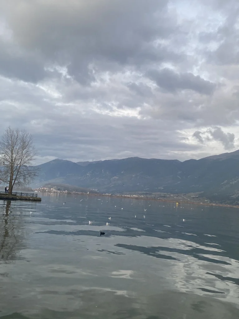 apogeumatini fotografia ioannina